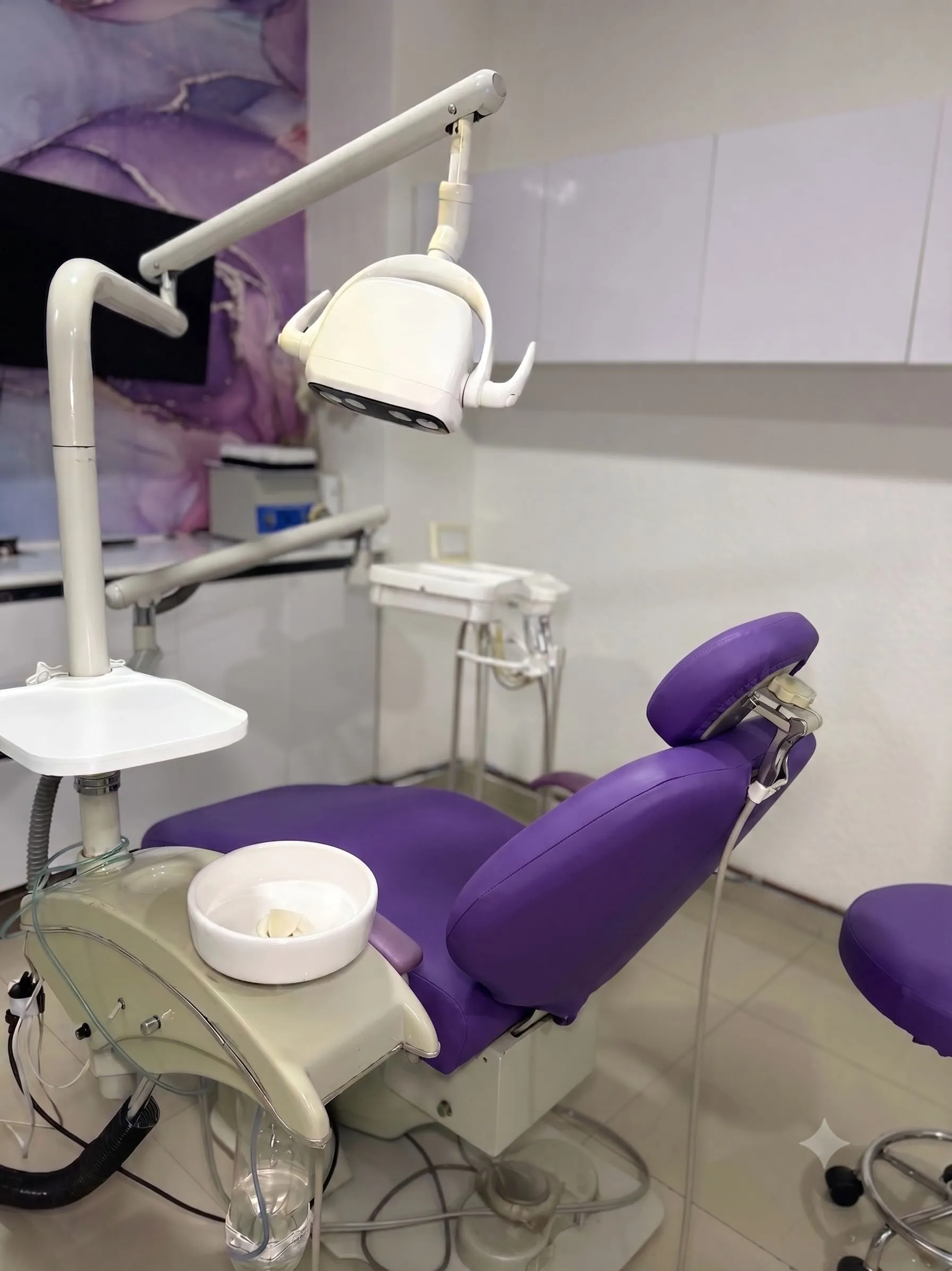 Unidad dental uva con lámpara y mural decorativo